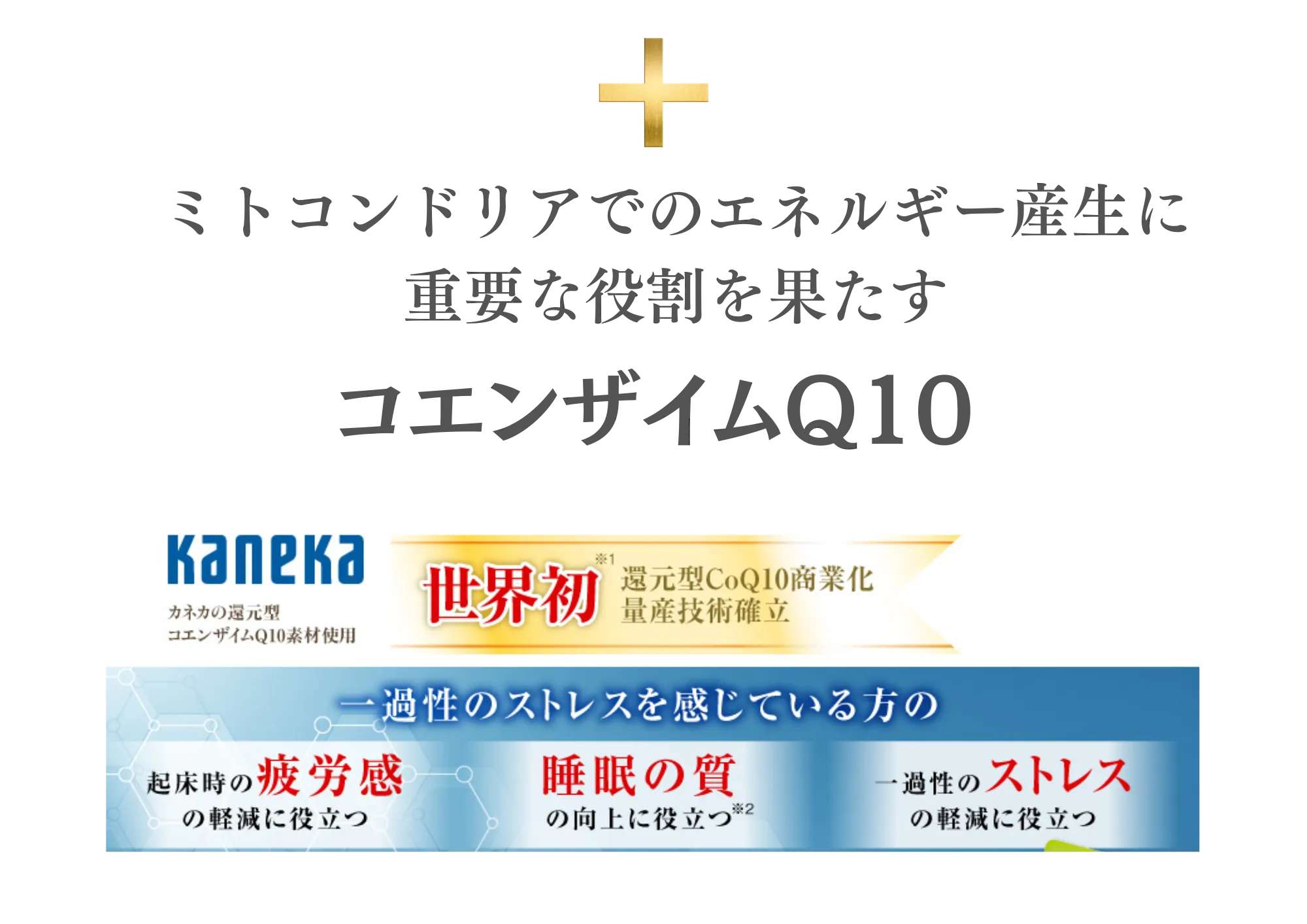 vm詳細5